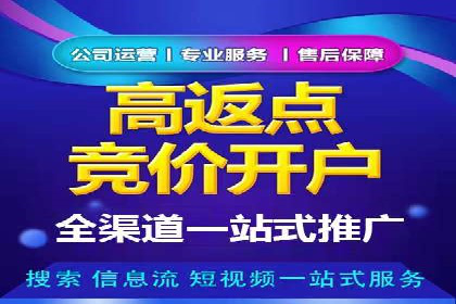 百度竞价排名案例：如何提升关键词排名